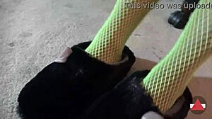 worship my green fishnets feet, amateurs in femdom nylon domination