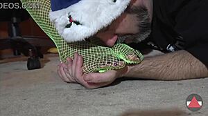 worship my green fishnets feet, amateurs in femdom nylon domination