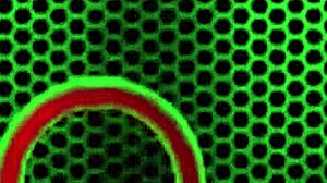 maserati sits on nina kayy's face for cunnilingus