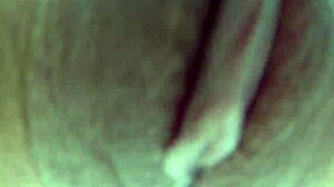 pool fun with dani daniels 😎