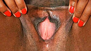 black ebonny's hairy pussy close up