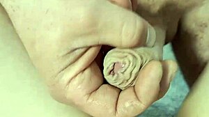 Amateur Gets Jerked, Fucked, And Cummed In Reality