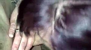 Young Guy Being Sucked Off By Older Mature Woman In Suggestive Encounter