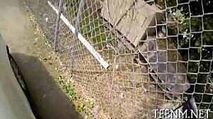 Legal Age Teen 18+Ager Dani Desire Suggests A Lusty And Wild Job