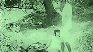 i saw old porn from dark lantern