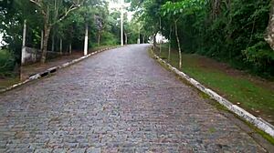 Sexy Amateur Gostosa Shows Natural Tits in Outdoor Exhibition