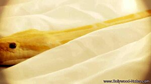 indian girl seduces in garden of eden