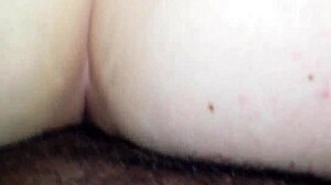 bbw with huge ass sitting on big cock interracial.