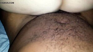 bbw with huge ass sitting on big cock interracial.