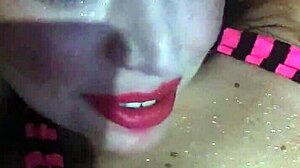 Let's cook a delicious dinner together.