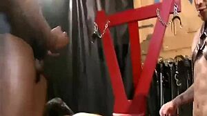 interracial bareback threeway with kinky studs in bdsm gay porn