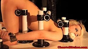 i'm cha 11, dominating my submissive blonde in bdsm bondage