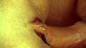 Beautiful Italian Skinny Mexican Amateur Shows Small Tits In Full Video