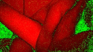 S01e07 bad light great pervert fuck