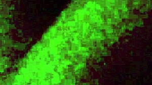 Excited Blonde Tries All Night Ride