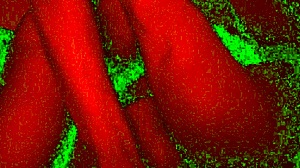 S01e07 bad light great pervert fuck