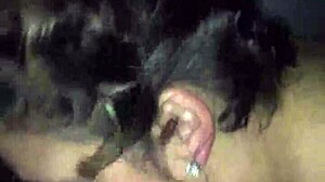 Gettin sloppy head from white girl!