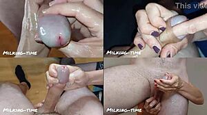 Dicks Everywhere In This Milking Compilation