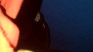 Last night he took me to his room and fucked me better than my husband