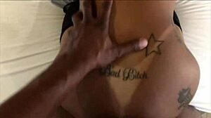 Backshots iii pov legends of bunda grande melissa devassa mirella mansur ariella ferraz lolla martinelli and samira ferraz compilation