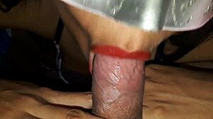 Feeling The Intense Pleasure Of Sucking And Cumshot.