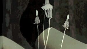 Vintage Pornostalgia Two Centuries Of Group Scenes