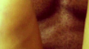 quick bang on the table with ebony amateurs