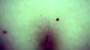 me la cojo por el culo duro