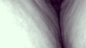 Vintage Fuck Compilation with Mixed Cumshots Everywhere