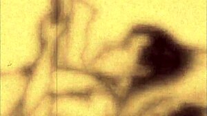 レトロヴィンテージアニメでの秘密のエロ生活