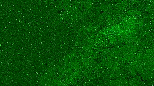 Fisting Myself with Intense Fist Fucking