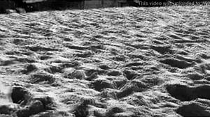 my wife showing off on brazilian beaches