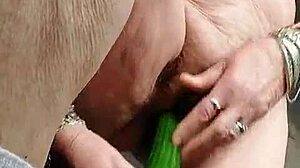 granny bangs her hairy slit with a cucumber. this old german slut loves it.
