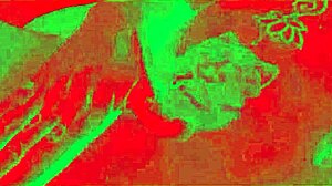 Brazilian amateurs Caroleta Roots and Neto Psy fuck unprotected in outdoor car, resulting in creampie.