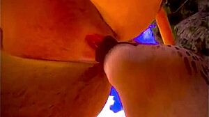 Adventures in the wild life of nature.