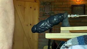 gay sissy polar bear gets fucked hard by big cock 😏