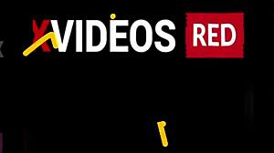 We took alex to kinky chaser's for an outdoor orgy