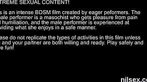 peculiar kitten gets treatment