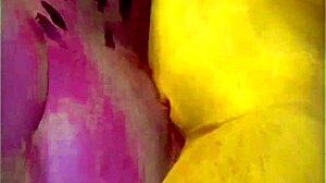 Adventures in the wild life of nature.