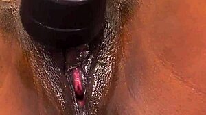 I watch brunette dyke tribbing ebony in live show after licking