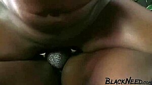 ebony bbw student licked and fucked roughly by big black cock
