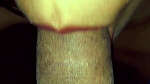 recopilacion de mamadas y tragadas de lechita de mi hermanastra susy es una puta tragamecos