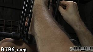 Wild Slaves Expecting For T