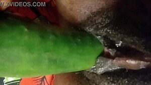 Cyndy Blackslave surprises with cucumber fuck and intense squirt close-up