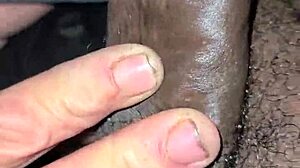 my favorite white woman sucks my dick so good