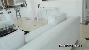 My ebony girlfriend gave me an anniversary blowjob in lingerie, it was so hot and interracial, feeling her mouth on my cock.