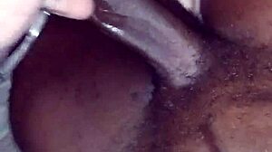 Teasing Sucking Of Black Cock With Blowjob Action