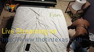 thot in texas explores ebony wet pussy hairy milf interracial encounters