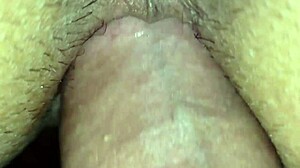 i bend her over in doggystyle and introduce my whole dick at the party.