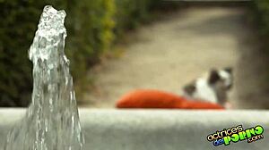 torrente x 3 episodio 1 unfolds the wild spanish kidnapping parody